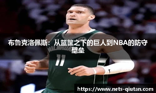 布鲁克洛佩斯：从篮筐之下的巨人到NBA的防守壁垒